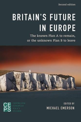 Britain's Future in Europe book