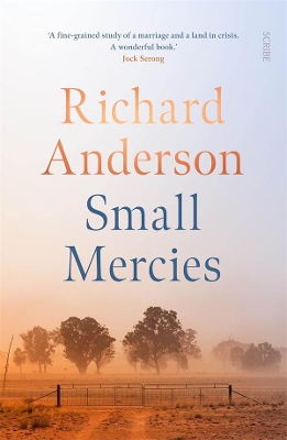 Small Mercies book