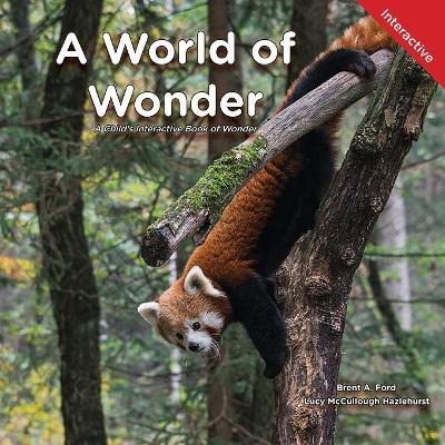 A World of Wonder: A Child's Interactive Book of Wonder by Brent A Ford