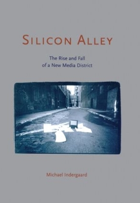 Silicon Alley by Michael Indergaard