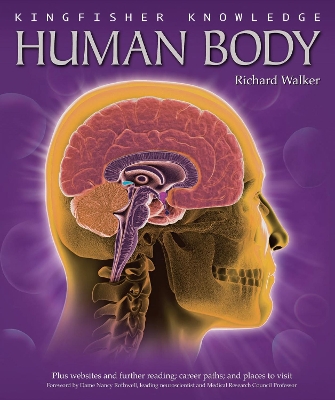 Kingfisher Knowledge Human Body book