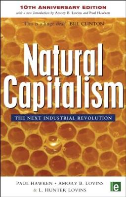 Natural Capitalism book