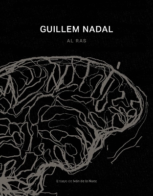 Guillem Nadal. Al Raso / Out In The Open book