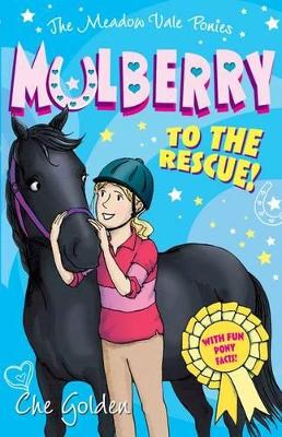 Meadow Vale Ponies: Mulberry to the Rescue! book