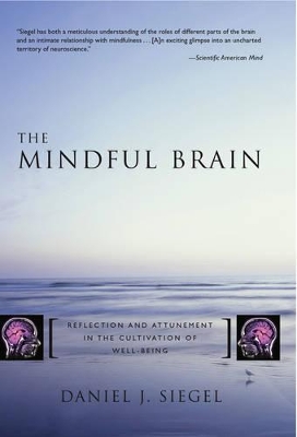 Mindful Brain book