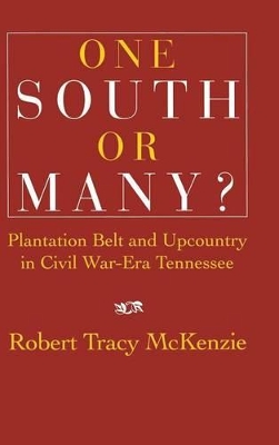 One South or Many? by Robert Tracy McKenzie