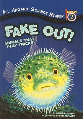 Fake Out! book
