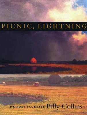 Picnic, Lightning book