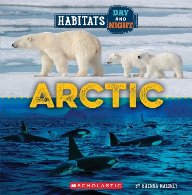 Arctic (Wild World: Habitats Day and Night) by Brenna Maloney