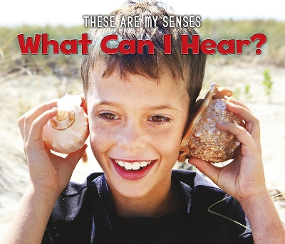 What Can I Hear? book