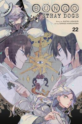 Bungo Stray Dogs, Vol. 22 book