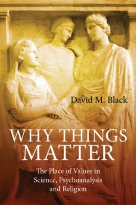 Why Things Matter book