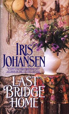 Last Bridge Home book