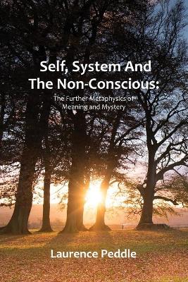 Self, System and the Non-Conscious: The Further Metaphysics of Meaning and Mystery book