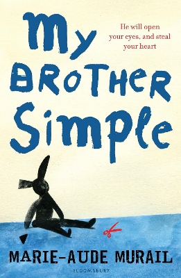 My Brother Simple book
