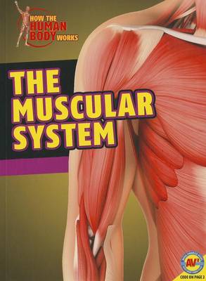 Muscular System by Simon Rose