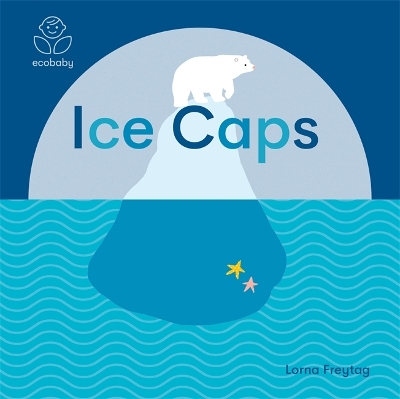 Eco Baby: Ice Caps book