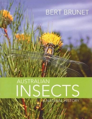 Australian Insects: A Natural History book