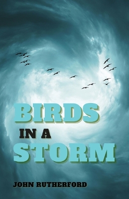 Birds in a Storm book