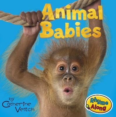 Animal Babies book