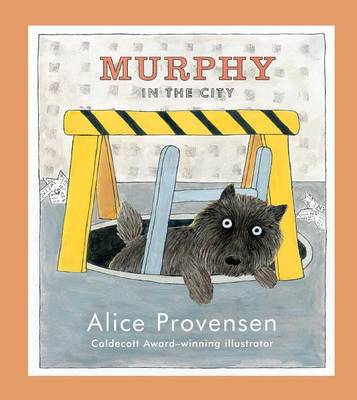 Murphy in the City book