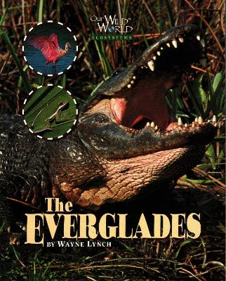 Everglades by Wayne Lynch