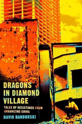 Dragons In Diamond Village book