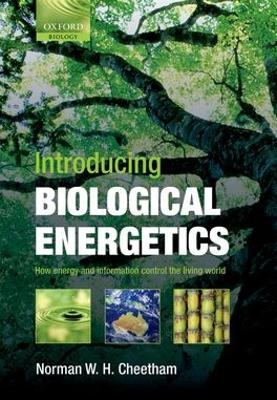 Introducing Biological Energetics book