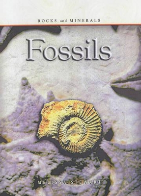 Rocks & Minerals: Fossils book