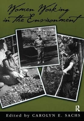 Women Working In The Environment by Carolyn E. Sachs