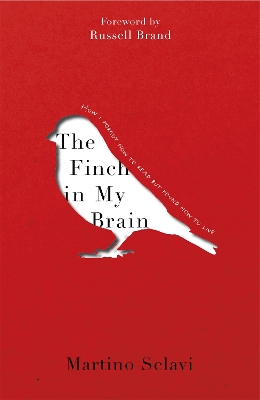 The Finch in My Brain by Martino Sclavi