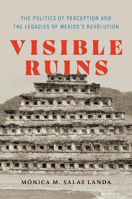 Visible Ruins: The Politics of Perception and the Legacies of Mexico's Revolution book
