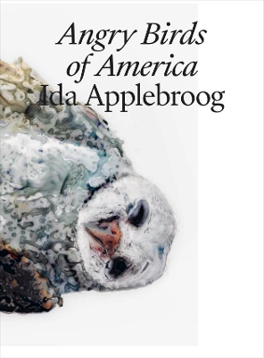 Ida Applebroog: Angry Birds of America book