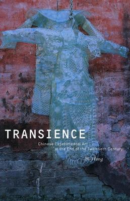 Transience book