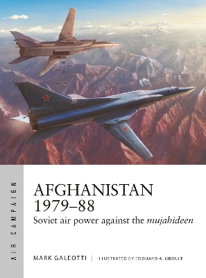 Afghanistan 1979–88: Soviet air power against the mujahideen book