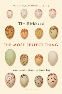 The Most Perfect Thing by Tim Birkhead
