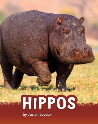 Hippos book