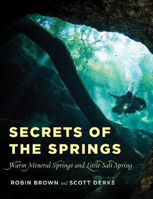 Secrets of the Springs: Warm Mineral Springs and Little Salt Spring book