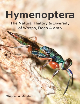 Hymenoptera: The Natural History and Diversity of Wasps, Bees and Ants book