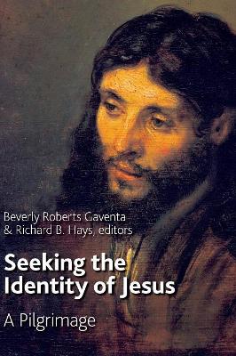 Seeking the Identity of Jesus book