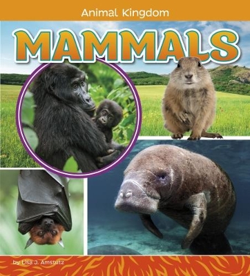 Mammals by Lisa J. Amstutz