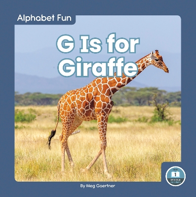 Alphabet Fun: G is for Giraffe book