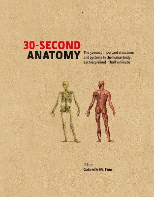 30-Second Anatomy: The 50 Most Important Structures and Systems in the Human Body, Each Explained in Half a Minute by Gabrielle M. Finn