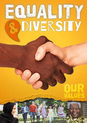 Equality and Diversity book