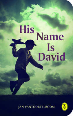 His Name Is David by Jan Vantoortelboom