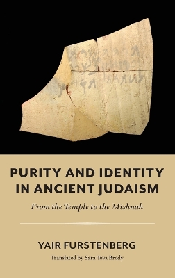 Purity and Identity in Ancient Judaism – From the Temple to the Mishnah by Yair Furstenberg