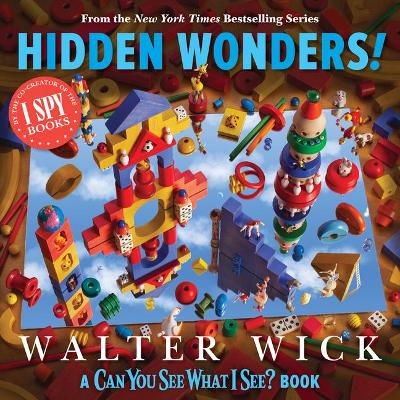 Can You See What I See?: Hidden Wonders (from the Co-Creator of I Spy) book