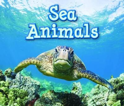 Sea Animals book
