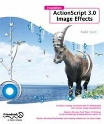 Foundation ActionScript 3.0 Image Effects book