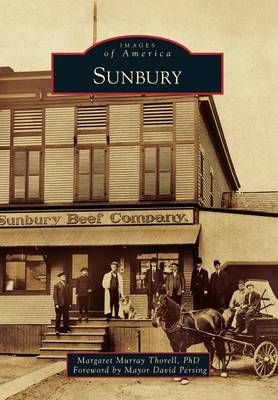 Sunbury book